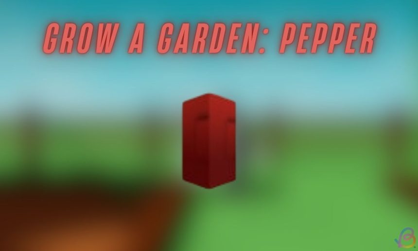 Wie man Pfeffersamen im Wachsen eines Gartenroblox bekommt