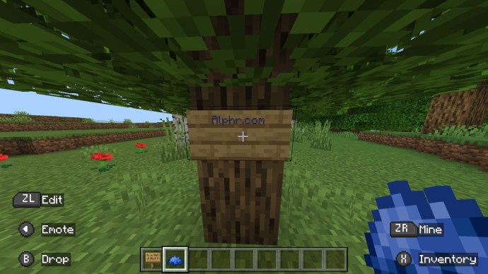 1709008855 239 Como colorear letreros en Minecraft