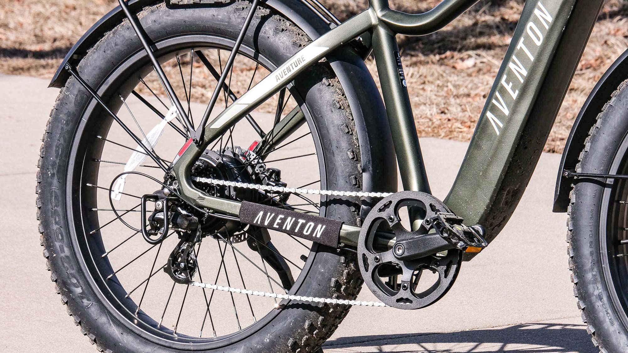 Aventon Aventure.2 sentado afuera en el parque
