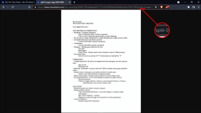 1709473710 907 Como desenfocar el contenido del Course Hero