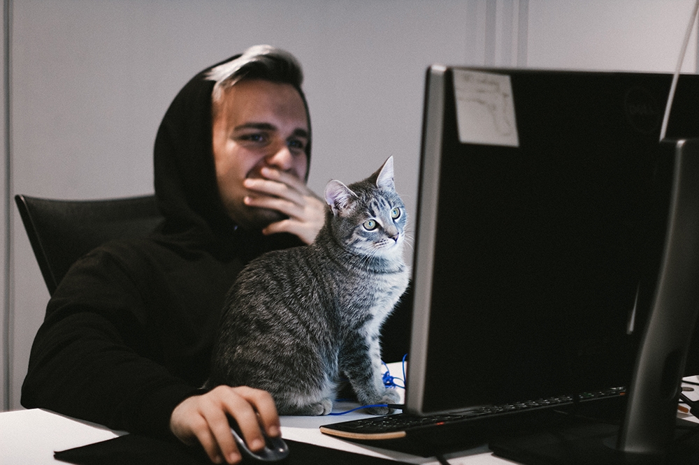 Comment calculer la valeur p dans Google Sheets