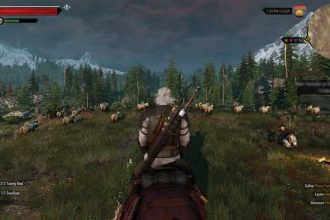 Procedure pas a pas de The Witcher 3 Free Spirit