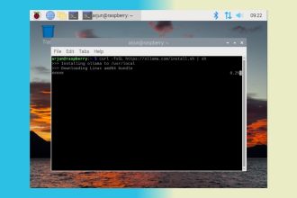 Comment executer des modeles dIA sur Raspberry Pi localement