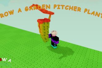 Comment obtenir une plante de pichet dans un jardin cultiver