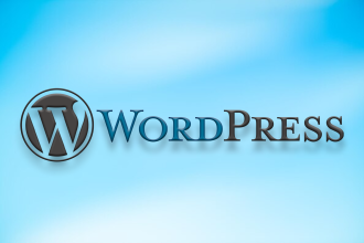 1709221725 Come impostare un tema predefinito in WordPress