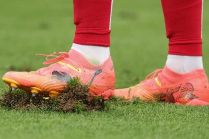 Campo Inghilterra Danimarca a Euro 2024 perche la superficie di gioco