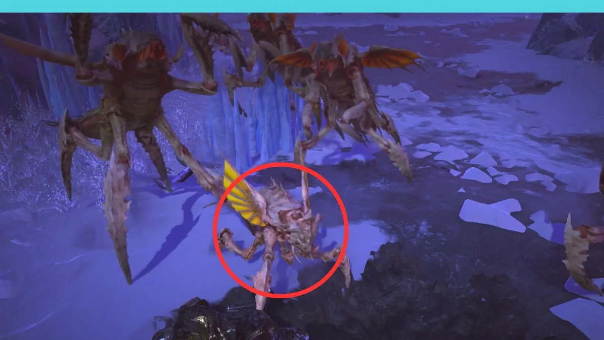 latający padlinożerca w helldivers 2