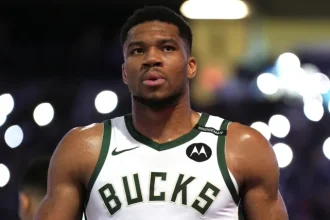 O sucesso de bilheteria proposto por Bucks ajuda a dupla.webp