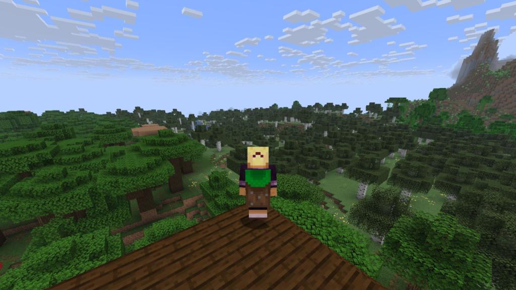 Minecraft Java Common Cape