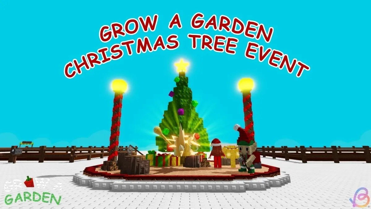 Bắt đầu nhiệm vụ trồng cây thông Noel trong vườn