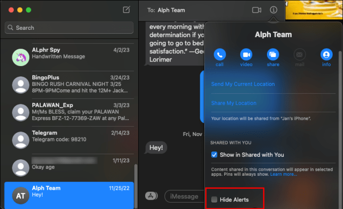 1709591072 613 How to hide iMessage alerts