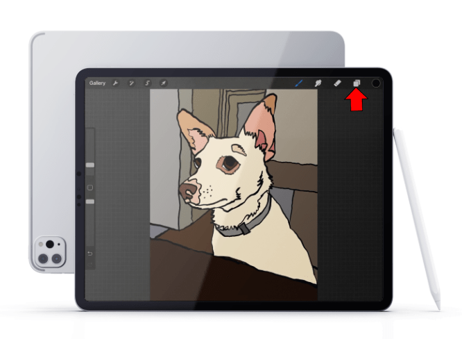 1710407791 38 How to copy and paste in Procreate