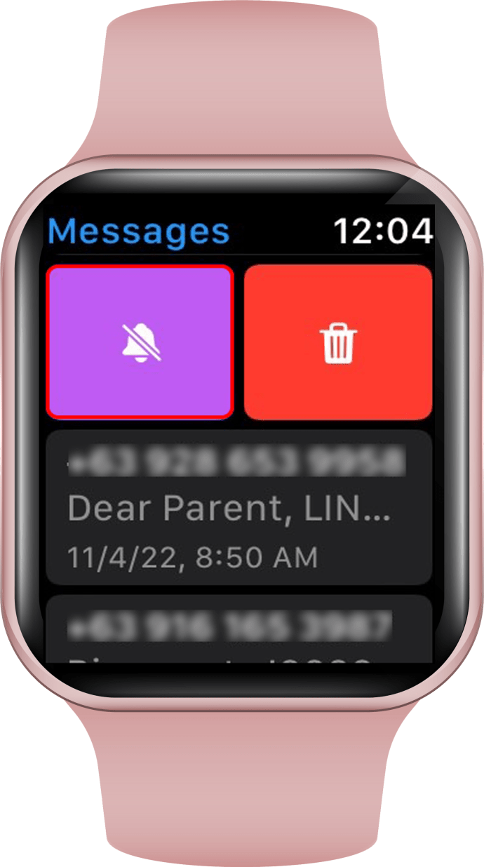 1710484814 738 How to delete all messages on an Apple Watch