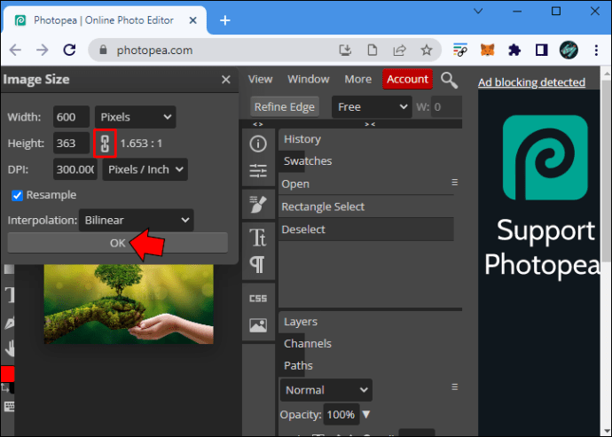 1711350931 671 How to resize an image in PhotoPea