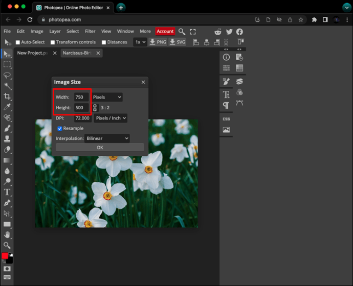 1711350932 965 How to resize an image in PhotoPea