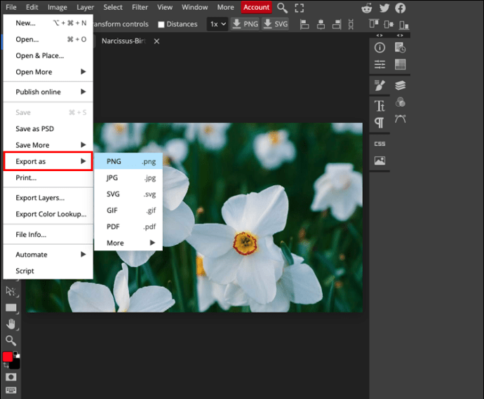 1711350933 681 How to resize an image in PhotoPea