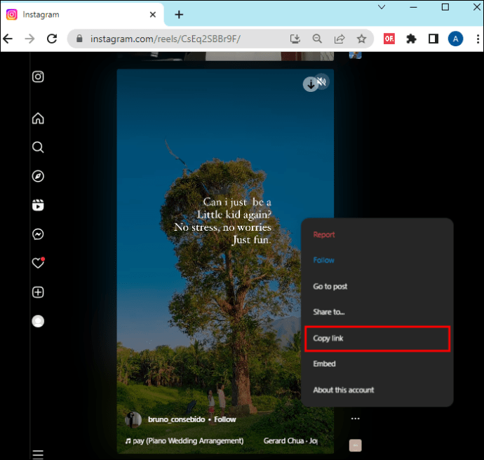 Best Instagram Reels Downloader