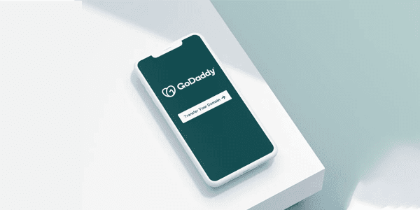How to transfer a domain with GoDaddy
