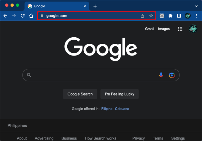 1713466121 176 How often is the browser cache updated