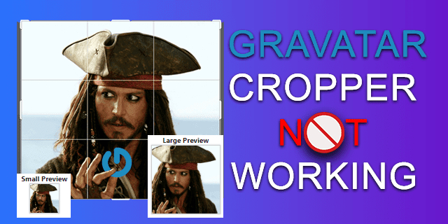 How to Fix Gravatar Trimmer Not Working