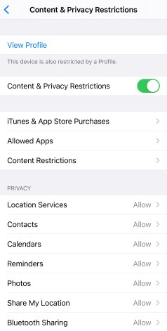 How to enable parental controls on iPad