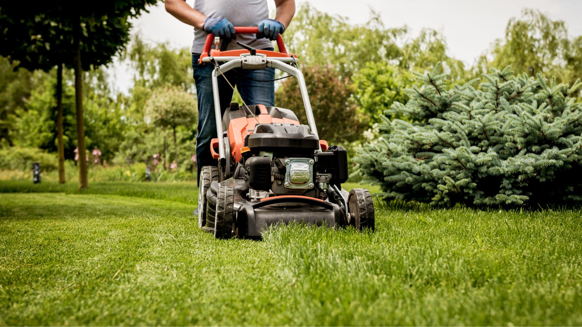 How to get the perfect stripes for your lawn