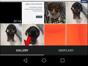 1714628890 375 How to use Deploy