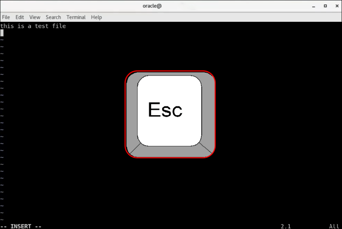 1715487885 549 How to create a text file in