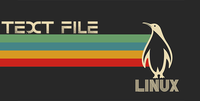 1715487891 How to create a text file in