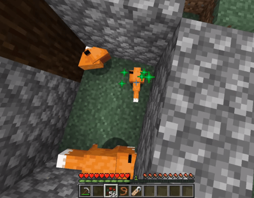 1715965255 710 How to tame a fox in Minecraft