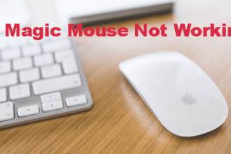 How to Fix a Magic Mouse Not Working