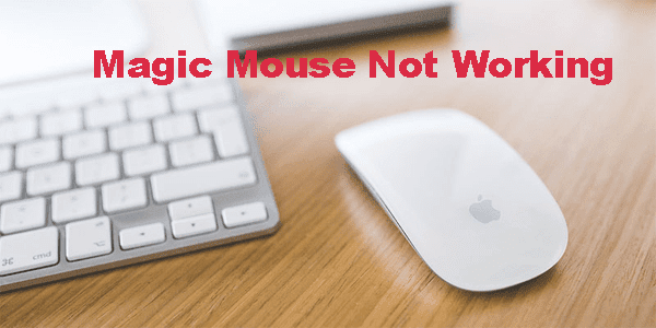 How to Fix a Magic Mouse Not Working