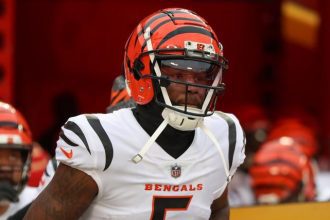 Bengals Wide Receiver Depth Tee Higgins Injury and JaMarr Chase