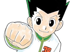 Hunter x Hunter Creators Health Declining Update Raises Concerns