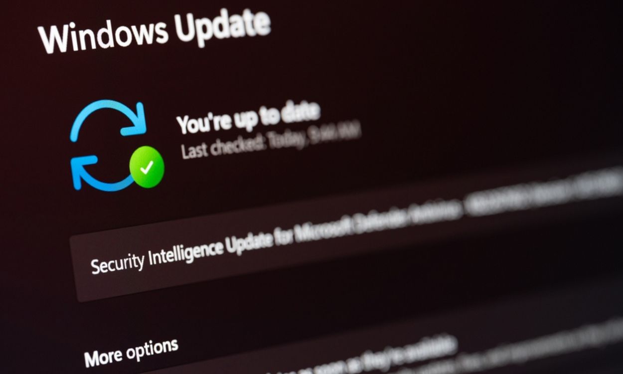 Expert Guide to Preventing Windows 11 24H2 Update How to