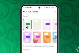 Step by Step Guide to Customize Your WhatsApp Chat Theme