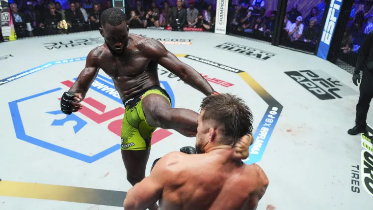 Understanding the Distinctions Between PFL and UFC A Comprehensive Guide.webp