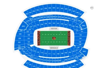 Affordable and Top Ticket Options for the Cincinnati Bengals 2025.webp