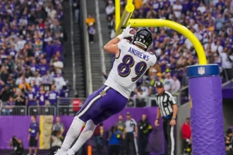 Week 11 Fantasy TE Rankings for PPR Essential Start Sit Strategies.webp