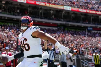 Revamping the Roster Three Free Agent Options for the Browns.webp