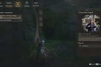 Ultimate Guide to Completing the Young Monks Request Quest in