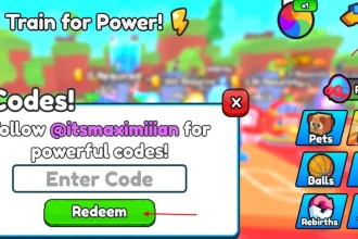 Basketball Training Code May 2026
